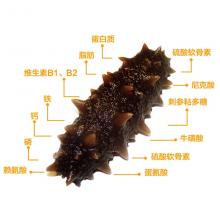 至尊南极刺参海参500g 约30-40头 （图片仅为参考，以实物为准））