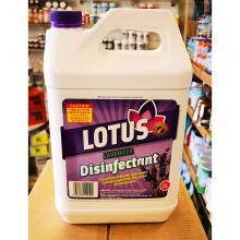 Lotus Disinfectant消毒液5L