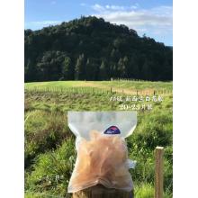 新西兰 LINGFISH  花胶 500g 20+片 偏白胶