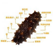 桂花刺参 海参500g 约30-40头 （图片仅为参考，以实物为准）