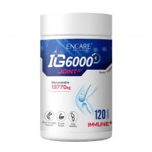 Encare IG6000 氨糖维骨力软骨素胶囊120粒