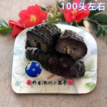 【国内现货包邮，报价咨询客服】澳州小黑参-海参-500g 约100头