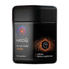 【活动赠品】MitoQ睿智补脑胶囊Brain-60粒